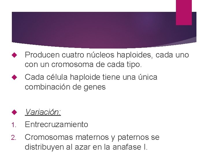  Producen cuatro núcleos haploides, cada uno con un cromosoma de cada tipo. Cada