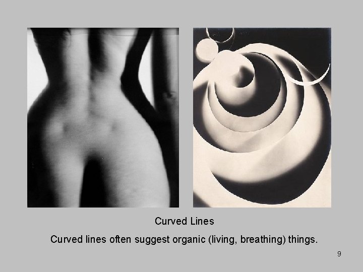 Curved Lines Curved lines often suggest organic (living, breathing) things. 9 