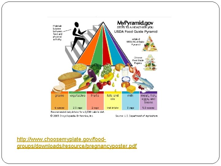 http: //www. choosemyplate. gov/foodgroups/downloads/resource/pregnancyposter. pdf 