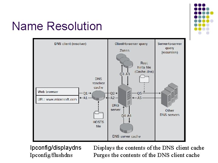 Name Resolution Ipconfig/displaydns Ipconfig/flushdns Displays the contents of the DNS client cache Purges the