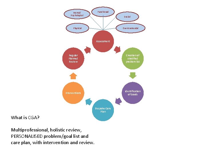 Mental/ Psychological Functional Social Physical Environmental Assessment Regular Planned Review Creation of stratified problem