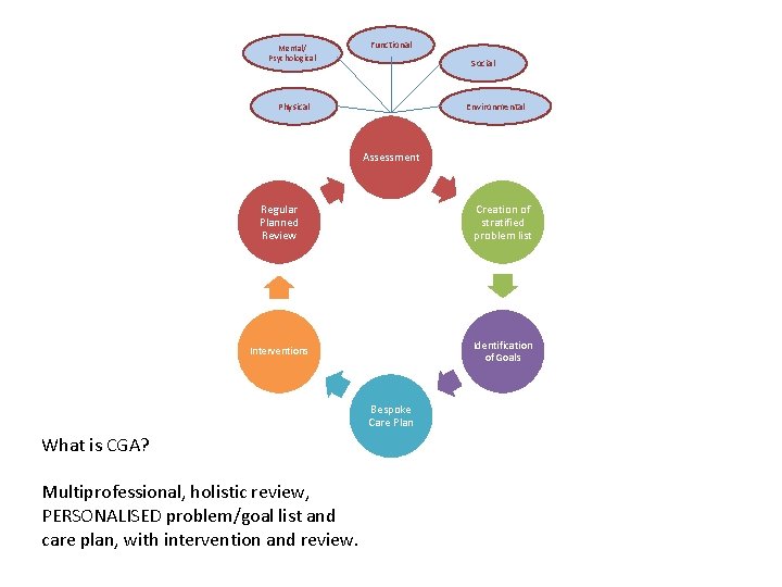 Mental/ Psychological Functional Social Physical Environmental Assessment Regular Planned Review Creation of stratified problem