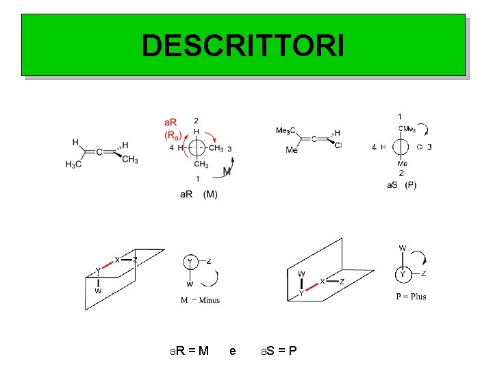 DESCRITTORI a. R = M e a. S = P 