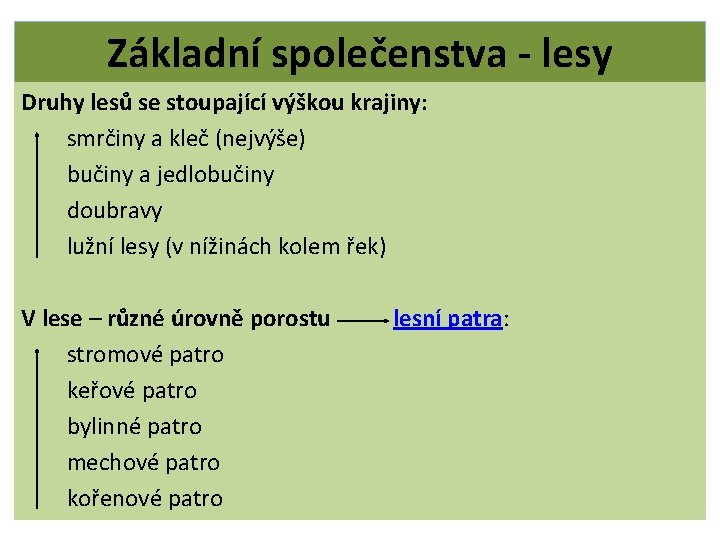 Základní společenstva - lesy Druhy lesů se stoupající výškou krajiny: smrčiny a kleč (nejvýše)