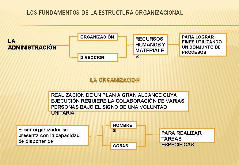 LOS FUNDAMENTOS DE LA ESTRUCTURA ORGANIZACIONAL LA ADMINISTRACIN
