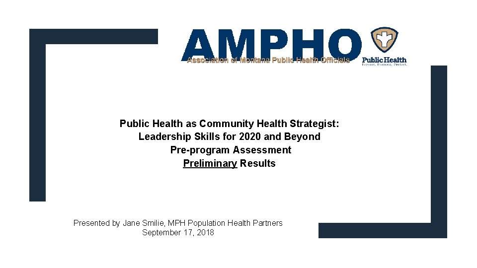 Public Health as Community Health Strategist: Leadership Skills for 2020 and Beyond Pre-program Assessment