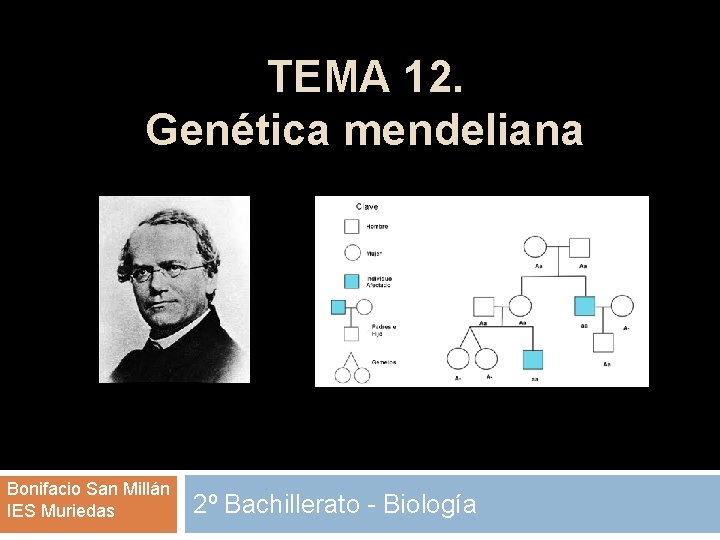 TEMA 12. Genética mendeliana Bonifacio San Millán IES Muriedas 2º Bachillerato - Biología 