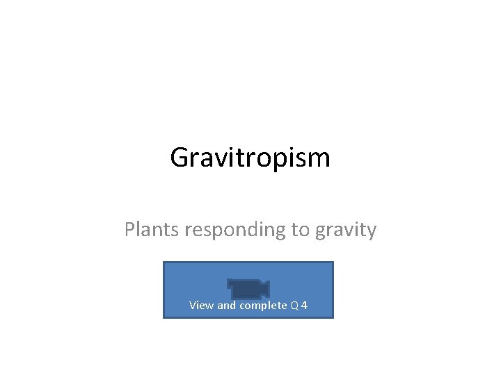Gravitropism Plants responding to gravity View and complete Q 4 