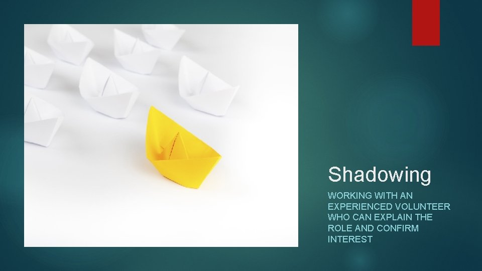 Shadowing WORKING WITH AN EXPERIENCED VOLUNTEER WHO CAN EXPLAIN THE ROLE AND CONFIRM INTEREST