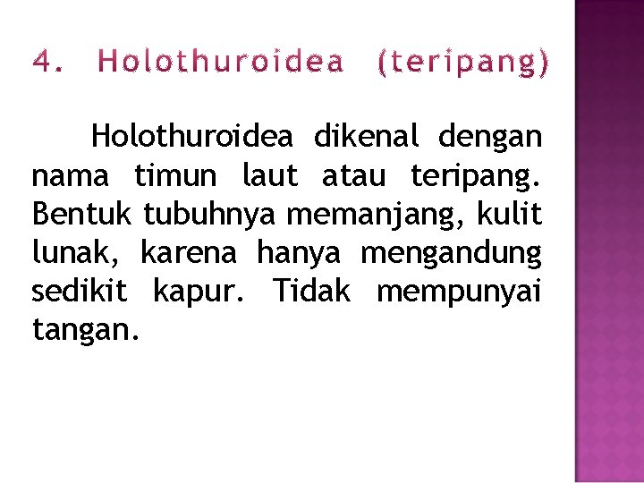 Holothuroidea dikenal dengan nama timun laut atau teripang. Bentuk tubuhnya memanjang, kulit lunak, karena