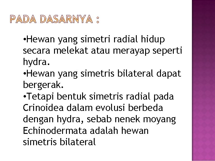  • Hewan yang simetri radial hidup secara melekat atau merayap seperti hydra. •