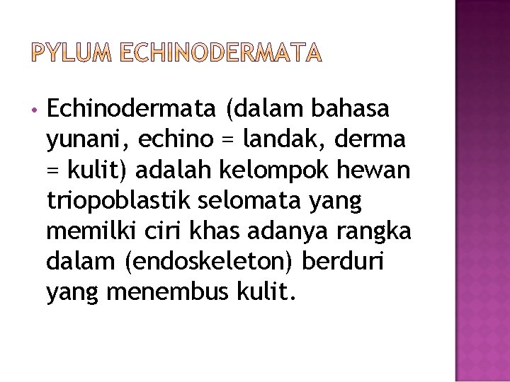  • Echinodermata (dalam bahasa yunani, echino = landak, derma = kulit) adalah kelompok