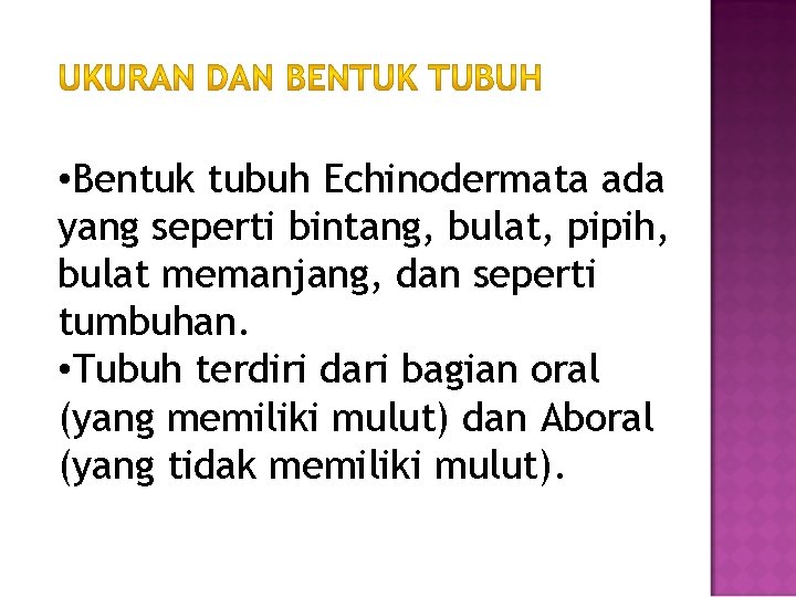  • Bentuk tubuh Echinodermata ada yang seperti bintang, bulat, pipih, bulat memanjang, dan