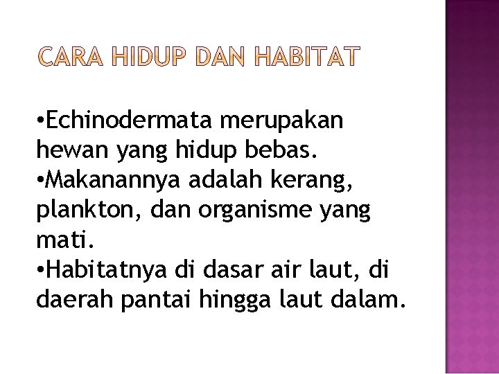  • Echinodermata merupakan hewan yang hidup bebas. • Makanannya adalah kerang, plankton, dan