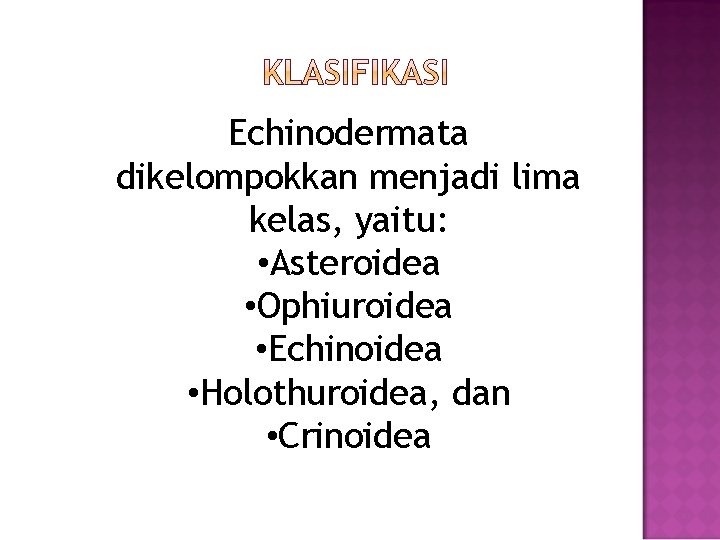 Echinodermata dikelompokkan menjadi lima kelas, yaitu: • Asteroidea • Ophiuroidea • Echinoidea • Holothuroidea,