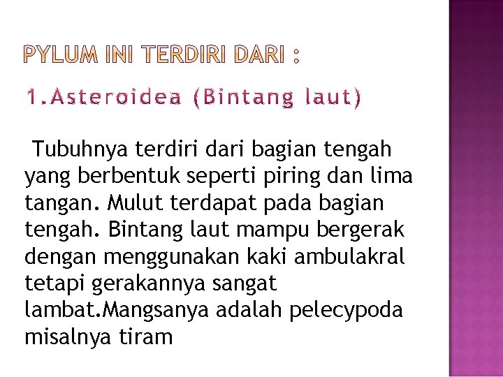Tubuhnya terdiri dari bagian tengah yang berbentuk seperti piring dan lima tangan. Mulut terdapat