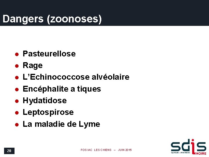 Dangers (zoonoses) l l l l 28 Pasteurellose Rage L’Echinococcose alvéolaire Encéphalite a tiques