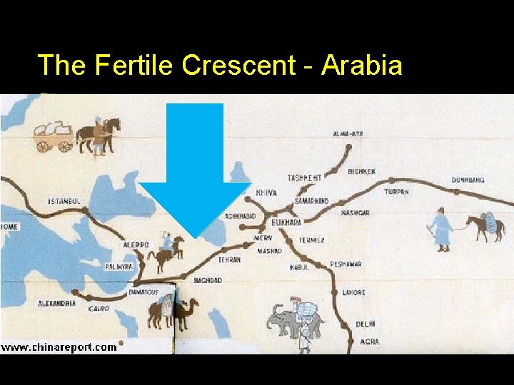 The Fertile Crescent - Arabia 