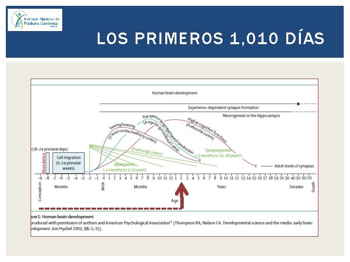 LOS PRIMEROS 1, 010 DÍAS 