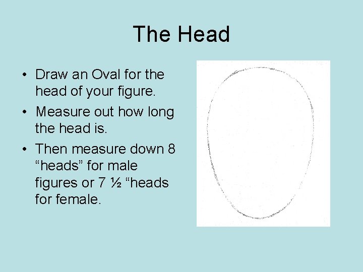 The Head • Draw an Oval for the head of your figure. • Measure