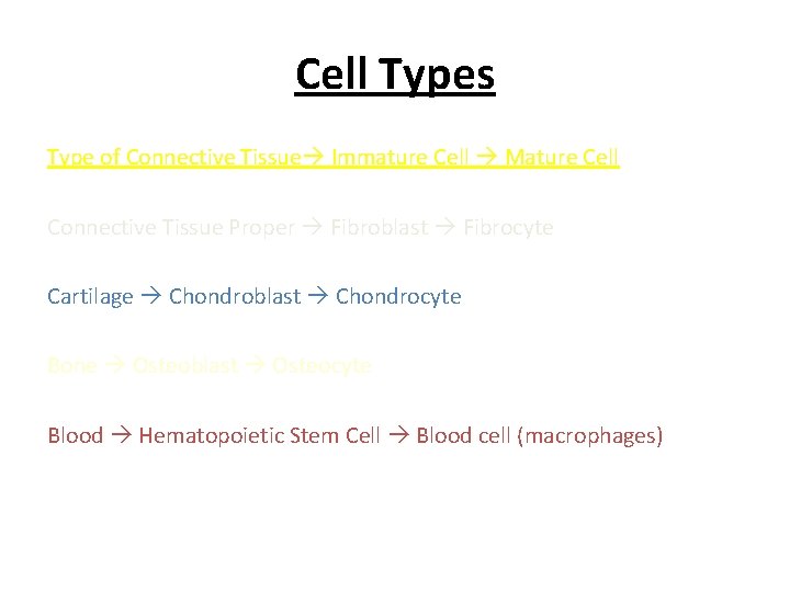 Cell Types Type of Connective Tissue Immature Cell Mature Cell Connective Tissue Proper Fibroblast
