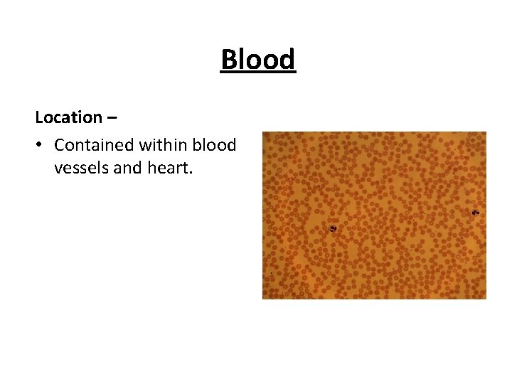 Blood Location – • Contained within blood vessels and heart. 
