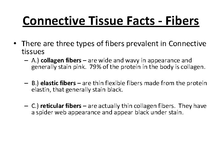 Connective Tissue Facts - Fibers • There are three types of fibers prevalent in