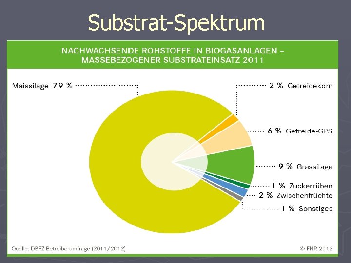 Substrat-Spektrum 24 