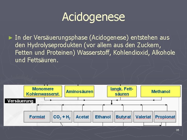 Acidogenese ► In der Versäuerungsphase (Acidogenese) entstehen aus den Hydrolyseprodukten (vor allem aus den