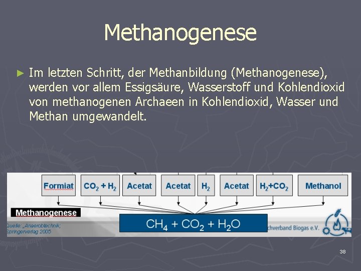 Methanogenese ► Im letzten Schritt, der Methanbildung (Methanogenese), werden vor allem Essigsäure, Wasserstoff und