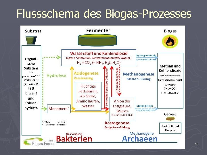 Flussschema des Biogas-Prozesses 42 