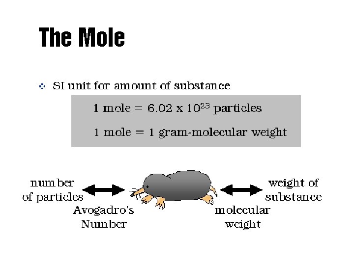 The Mole 