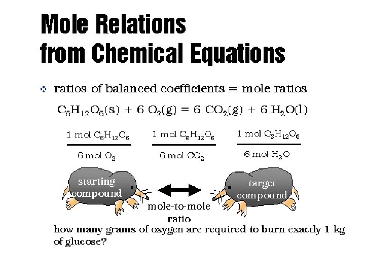 Mole Relations 