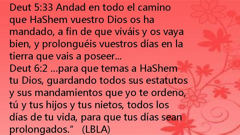 Deut 5: 33 Andad en todo el camino que Ha. Shem vuestro Dios os