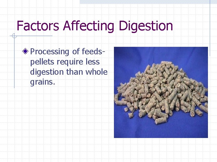 Factors Affecting Digestion Processing of feedspellets require less digestion than whole grains. 