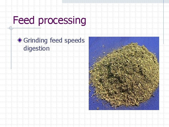 Feed processing Grinding feed speeds digestion 