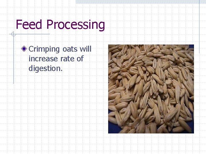 Feed Processing Crimping oats will increase rate of digestion. 