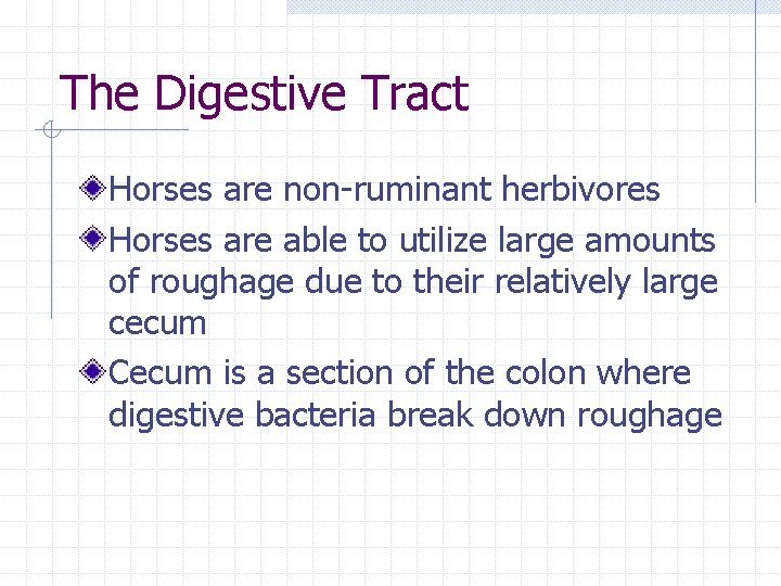 The Digestive Tract Horses are non-ruminant herbivores Horses are able to utilize large amounts