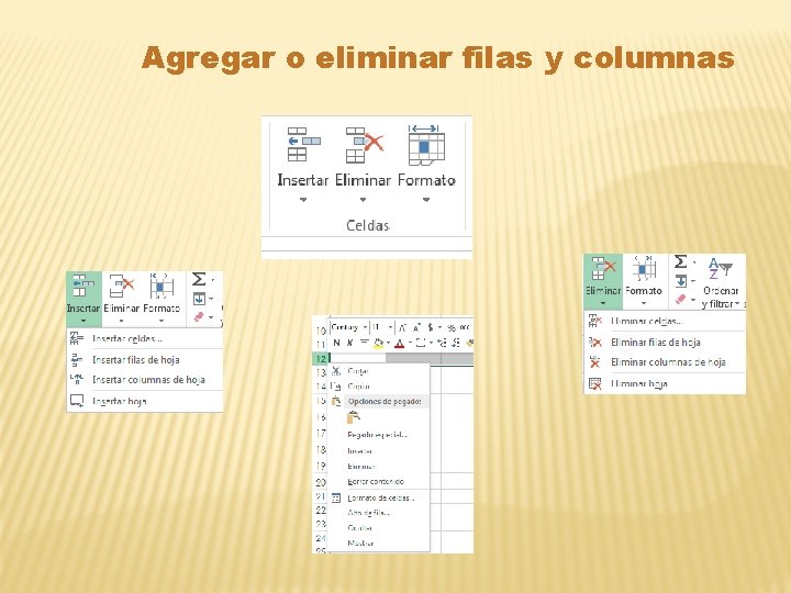 Agregar o eliminar filas y columnas 