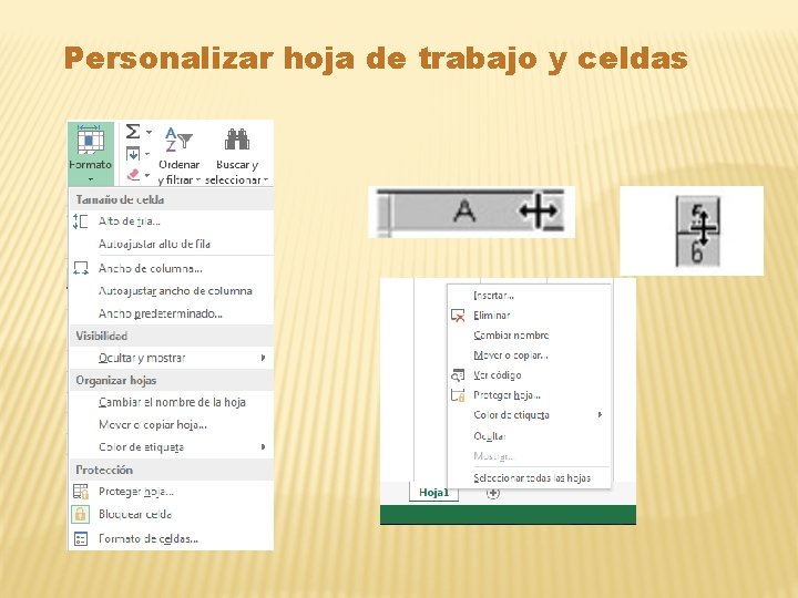 Personalizar hoja de trabajo y celdas 