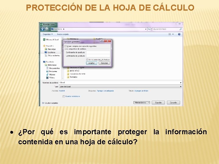 PROTECCIÓN DE LA HOJA DE CÁLCULO ¿Por qué es importante proteger la información contenida