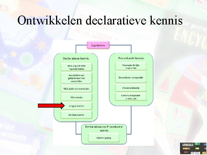 Ontwikkelen declaratieve kennis 