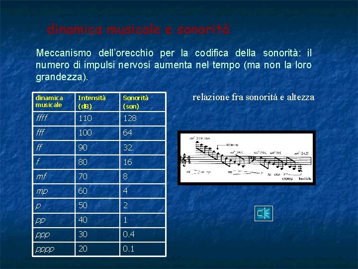 dinamica musicale e sonorità Meccanismo dell’orecchio per la codifica della sonorità: il numero di