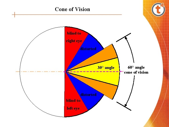 Cone of Vision blind to right eye distorted 30° angle distorted blind to left