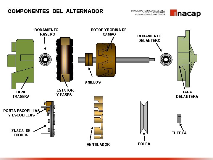 COMPONENTES DEL ALTERNADOR RODAMIENTO TRASERO ROTOR YBOBINA DE CAMPO RODAMIENTO DELANTERO ANILLOS TAPA TRASERA