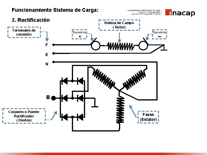 Funcionamiento Sistema de Carga: 2. Rectificación Terminales de conexión Bobina de Campo ( Rotor)