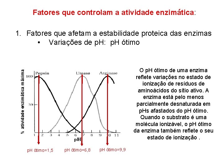 Fatores que controlam a atividade enzimática: 1. Fatores que afetam a estabilidade proteica das