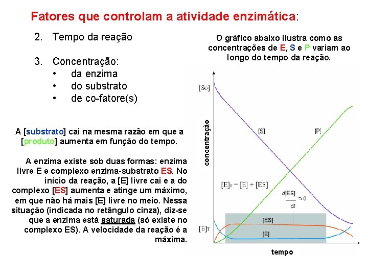 Fatores que controlam a atividade enzimática: 3. Concentração: • da enzima • do substrato