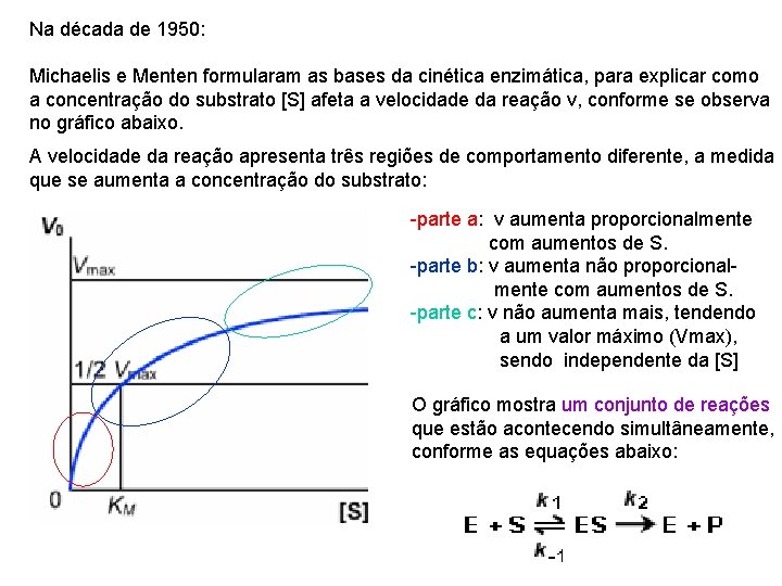 Na década de 1950: Michaelis e Menten formularam as bases da cinética enzimática, para