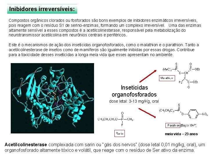 Inibidores irreversíveis: Compostos orgânicos clorados ou fosforados são bons exemplos de inibidores enzimáticos irreversíveis,